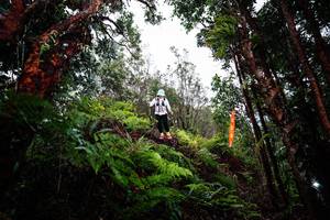 BIB: 
                            <button type="button" onclick="openModal(26204983)" class="btn btn-primary btn-sm float-right btn-popup" data-toggle="modal" data-target=".modal-high-quality">
                        <i class="fas fa-shopping-cart"></i> Add to Cart
                    </button>
                                            <button type="button" onclick="isThisMe(26204983, true)" class="btn btn-success btn-sm float-right btn-popup btn-isme hidden" data-toggle="tooltip" data-placement="bottom" title="นี่คือรูปของคุณใช่ไหม คลิกที่นี่เพื่อเอาเข้าอัลบั้ม">
                        <i class="fas fa-plus"></i> Add to album
                    </button>
                    <button type="button" onclick="isThisMe(26204983, false)" class="btn btn-warning btn-sm float-right btn-popup btn-isnotme hidden">
                        <i class="fas fa-ban"></i> Remove from album
                    </button>